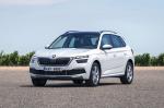 Skoda Kamiq 2019 года (WW)